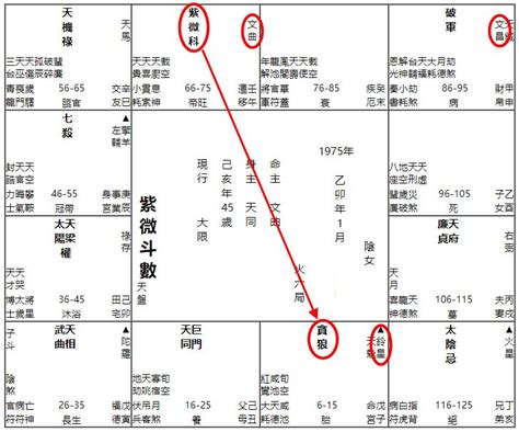 陰男 意思|紫微斗数：中宫显示的阳男、阳女、阴男、阴女是什么意思？